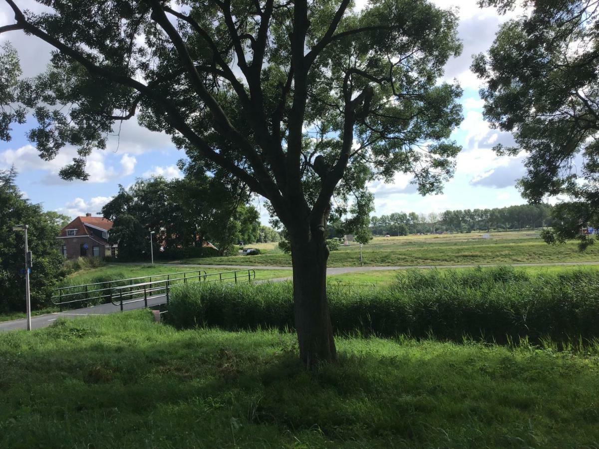 Pension Buitenzicht Geervliet Buitenkant foto