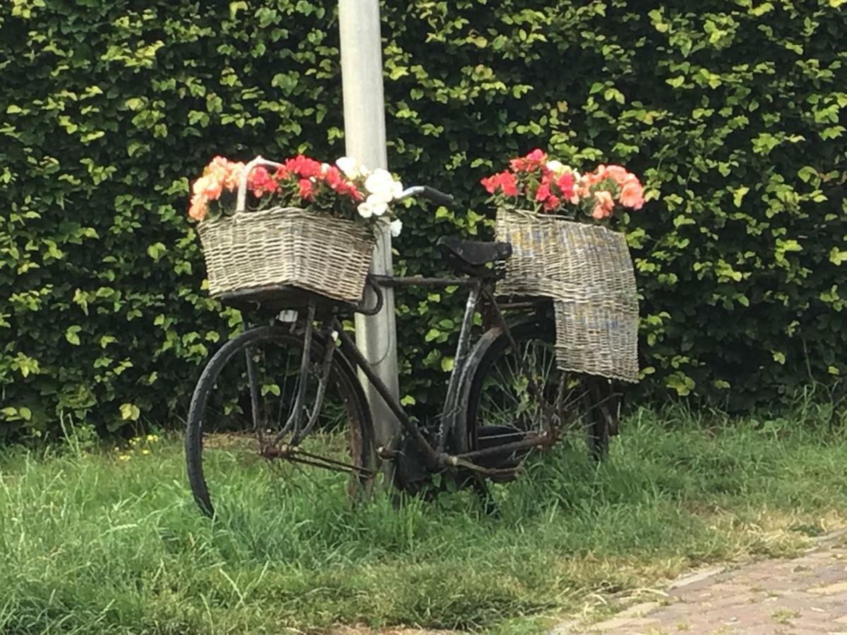 Pension Buitenzicht Geervliet Buitenkant foto